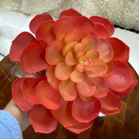 Lot of 3, Faux succulent florals for DIY - Picture 12 of 12